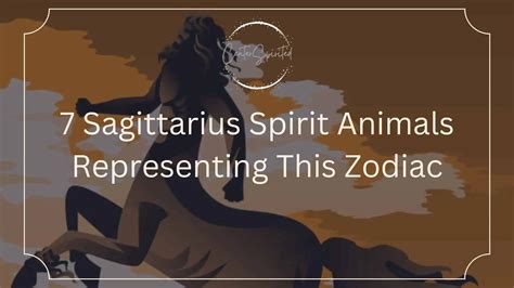 libra zodiac sign animal|what is sagittarius spirit animal.